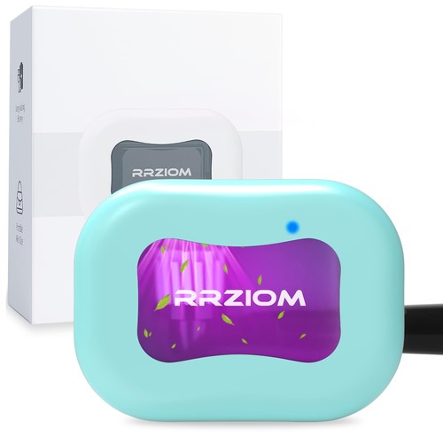 Toothbrush sanitizer case - toothbrush,